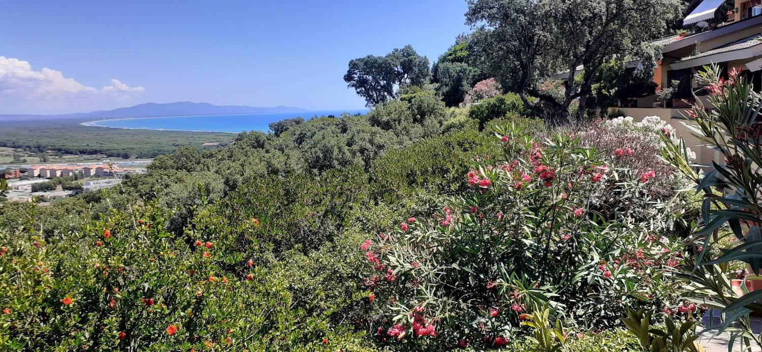 Villetta in vendita a Castiglione Della Pescaia (GR)