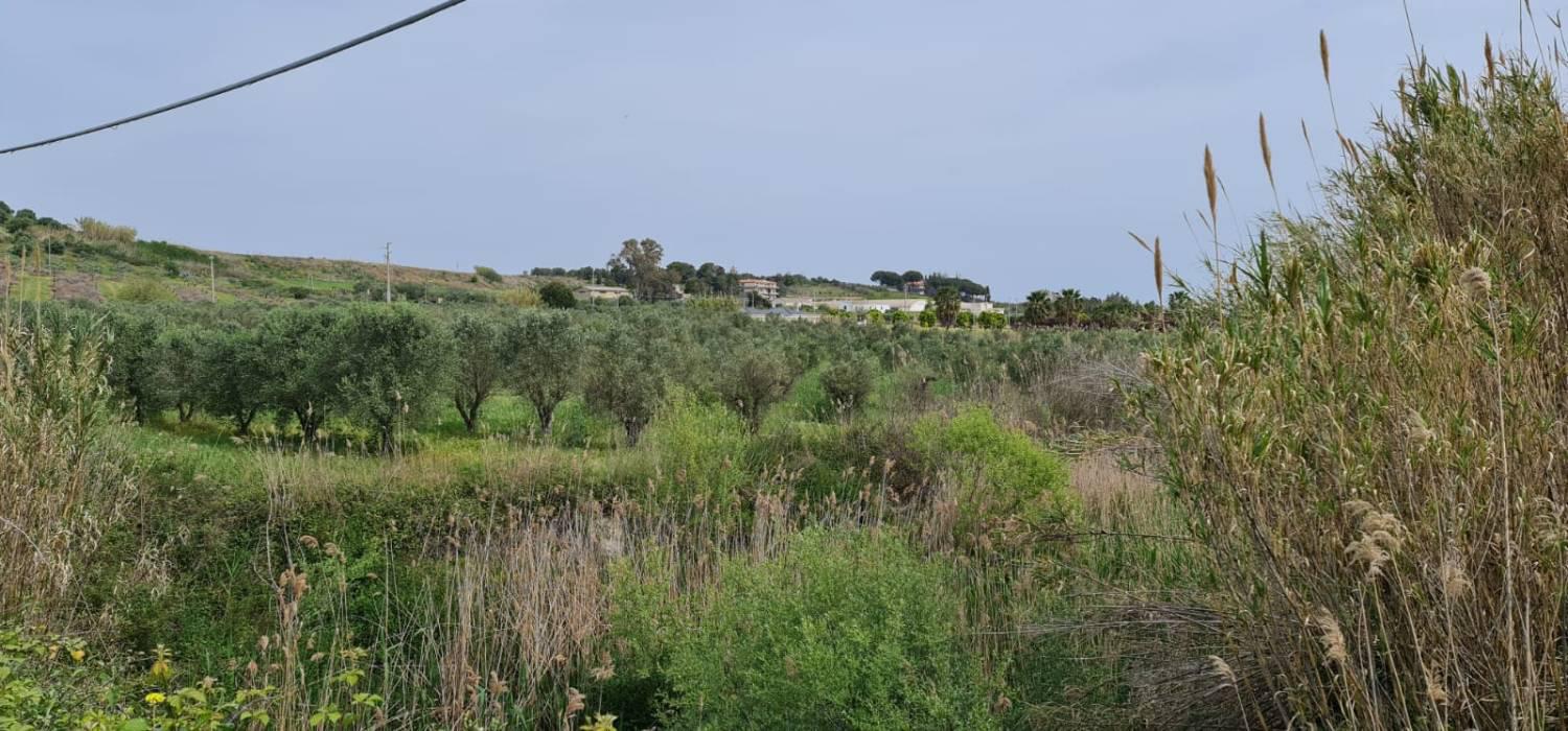 Terreno in vendita a Crotone