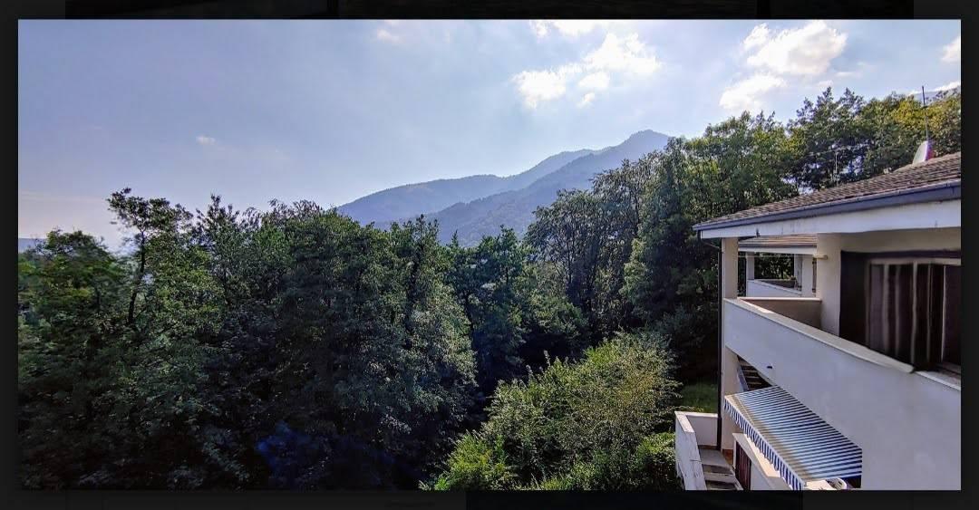 immagine annuncio 5 di 6