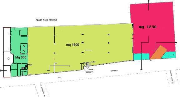 immagine annuncio 12 di 14