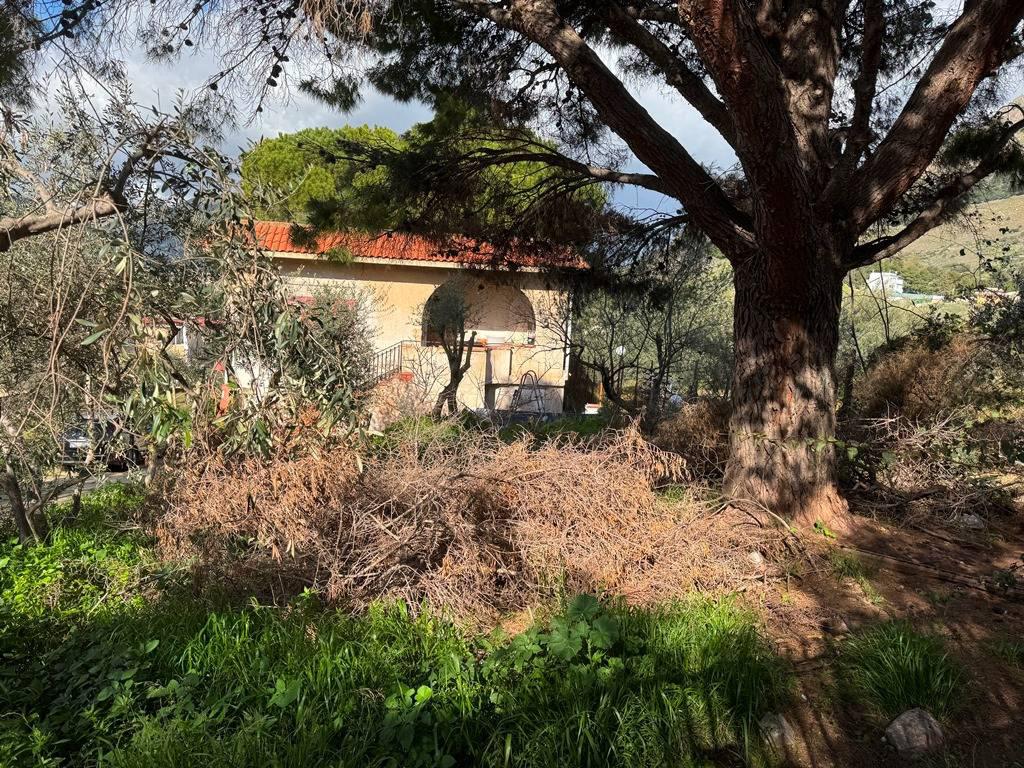 Villa in Vendita