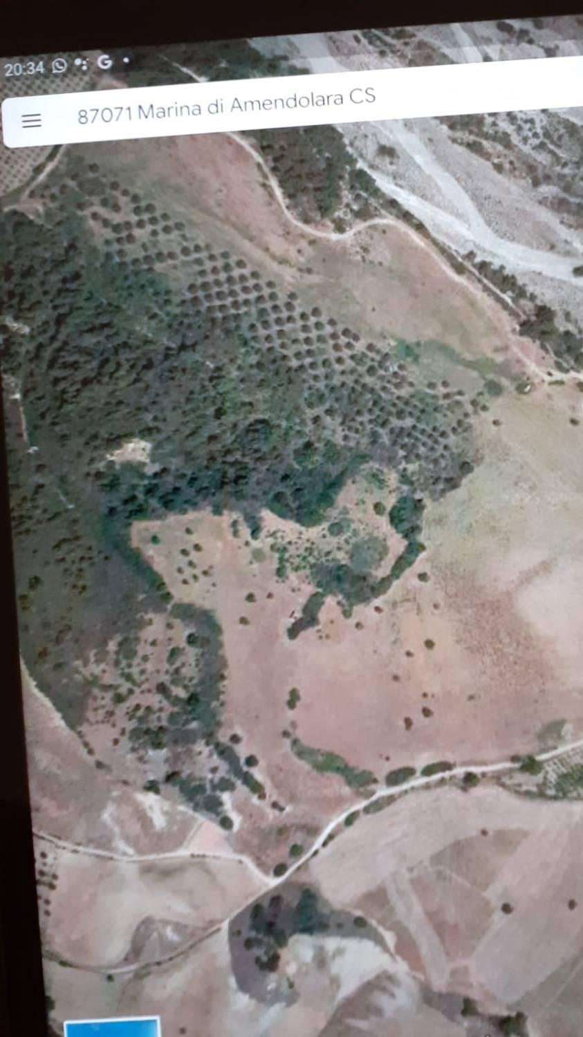 Terreno agricolo in 1 a Amendolara (CS)