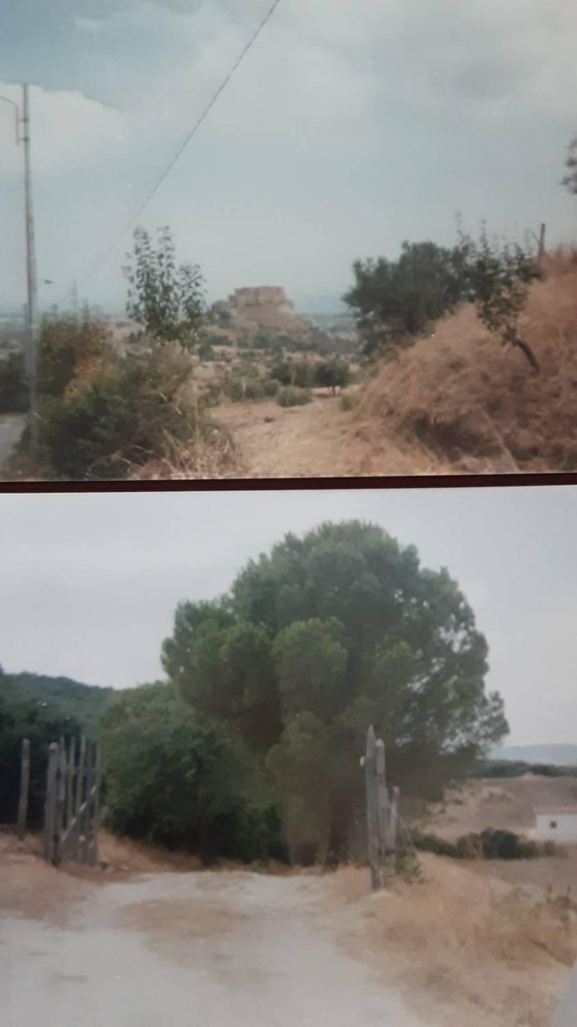 Terreno in Vendita