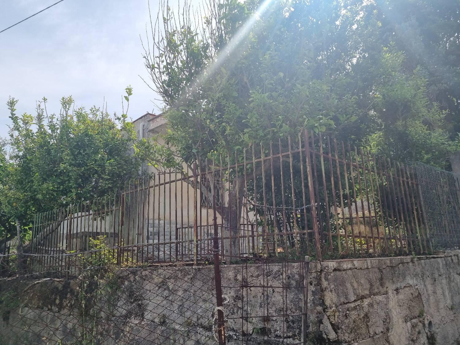 Foto 16 di 20 - Villa in vendita a Torretta