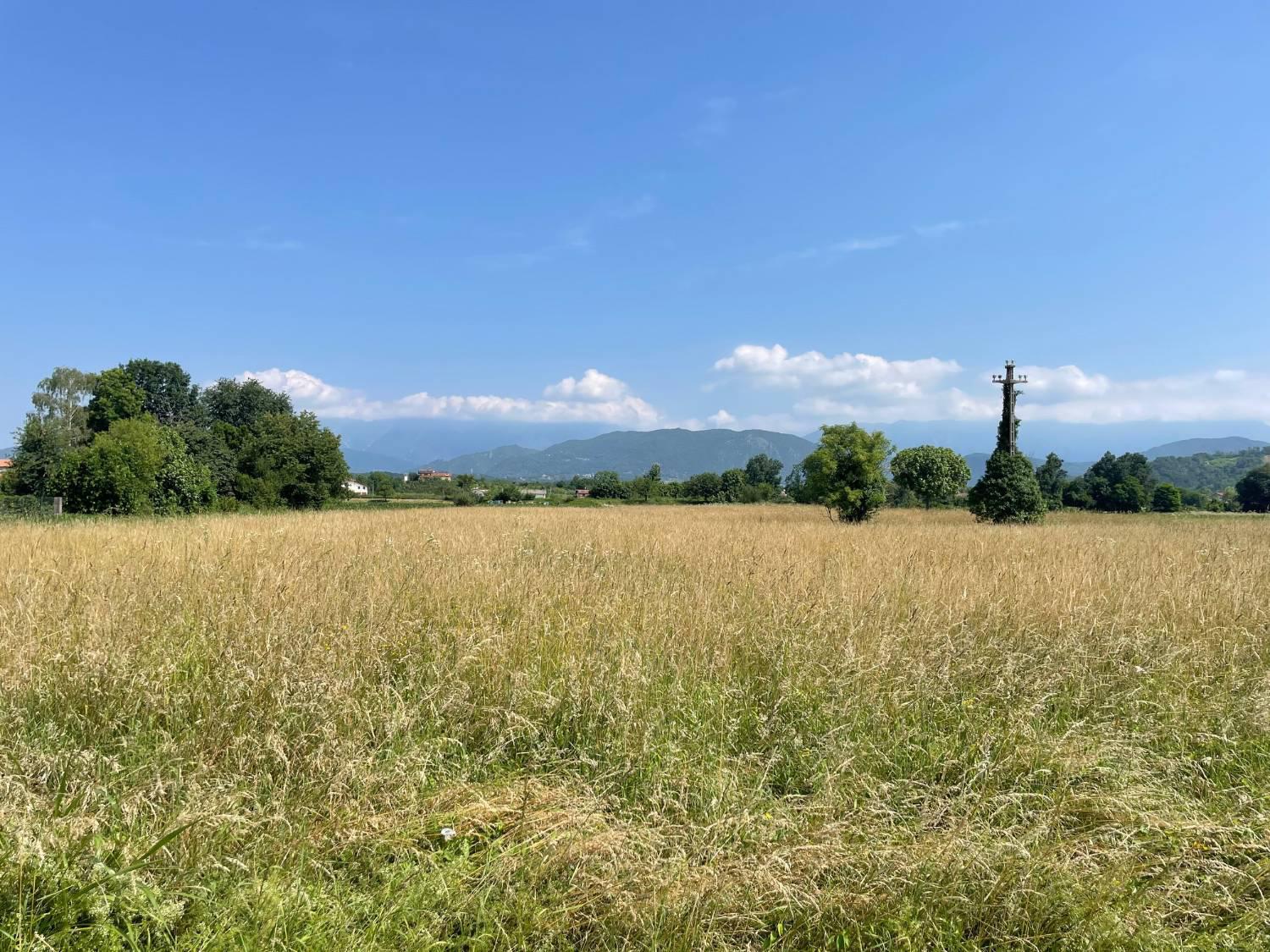 Terreno industriale in vendita a Zompitta, Reana Del Rojale (UD)