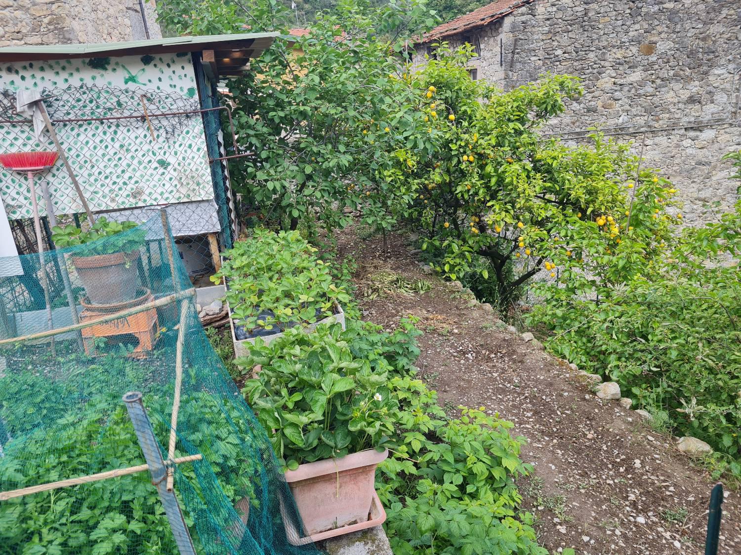 Appartamento in Vendita