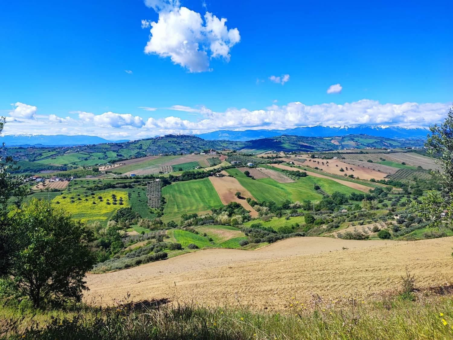 Casa indipendente in vendita a Silvi (TE)