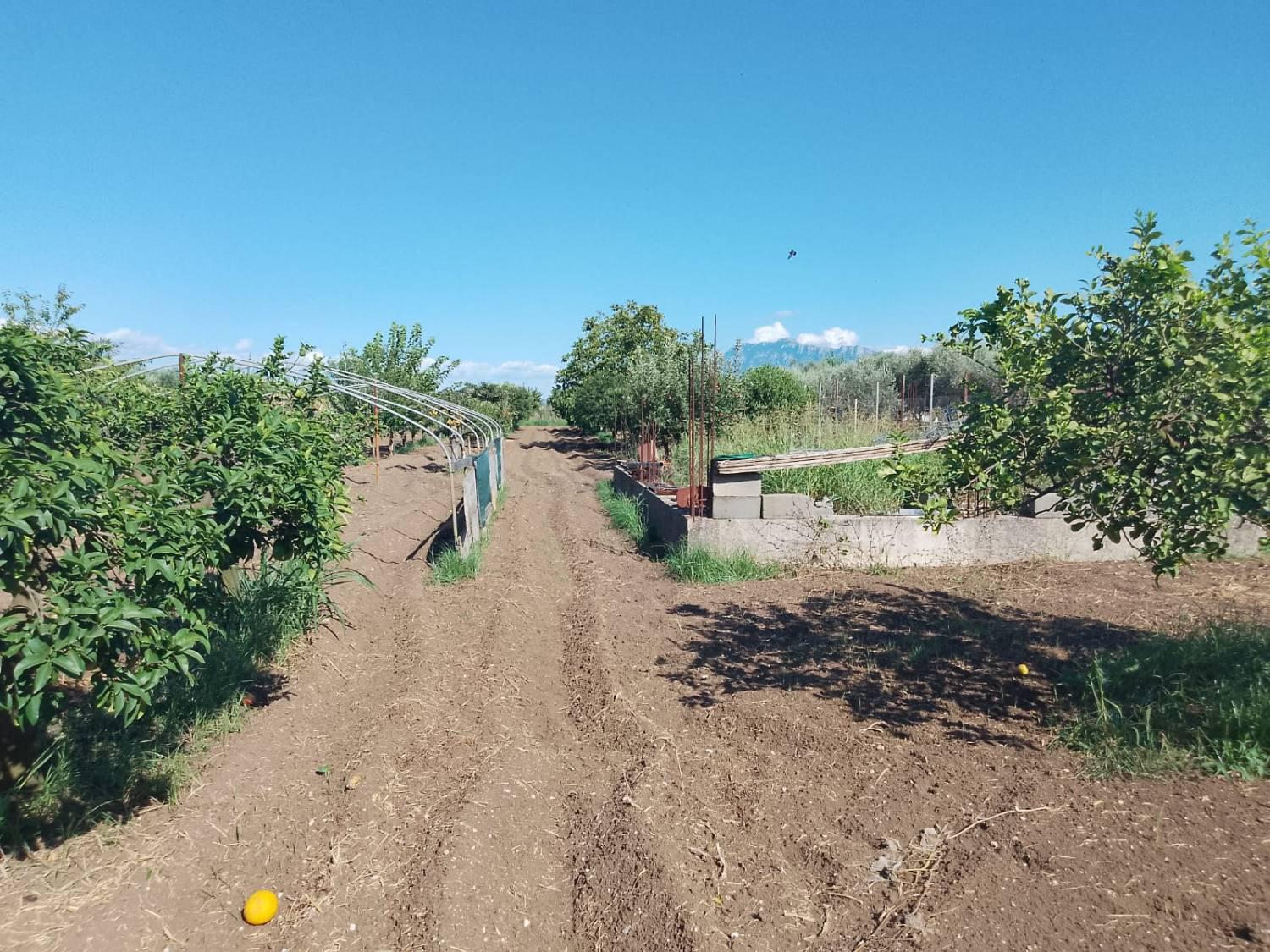 Casa indipendente in vendita a Eboli (SA)