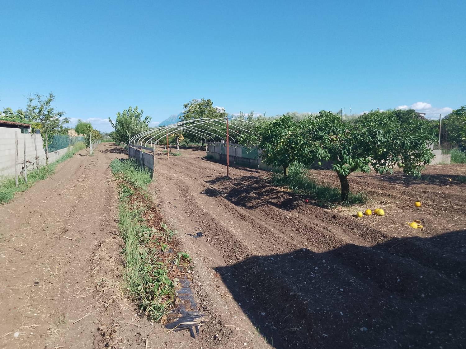 Casa indipendente in vendita a Eboli (SA)