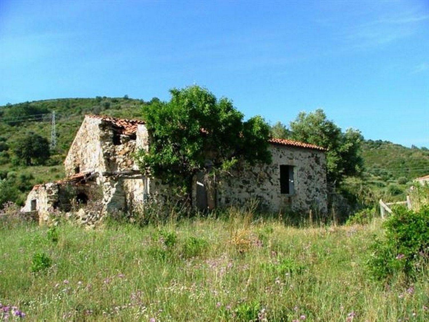 Foto 2 di 5 - Casa indipendente in vendita a Pollica