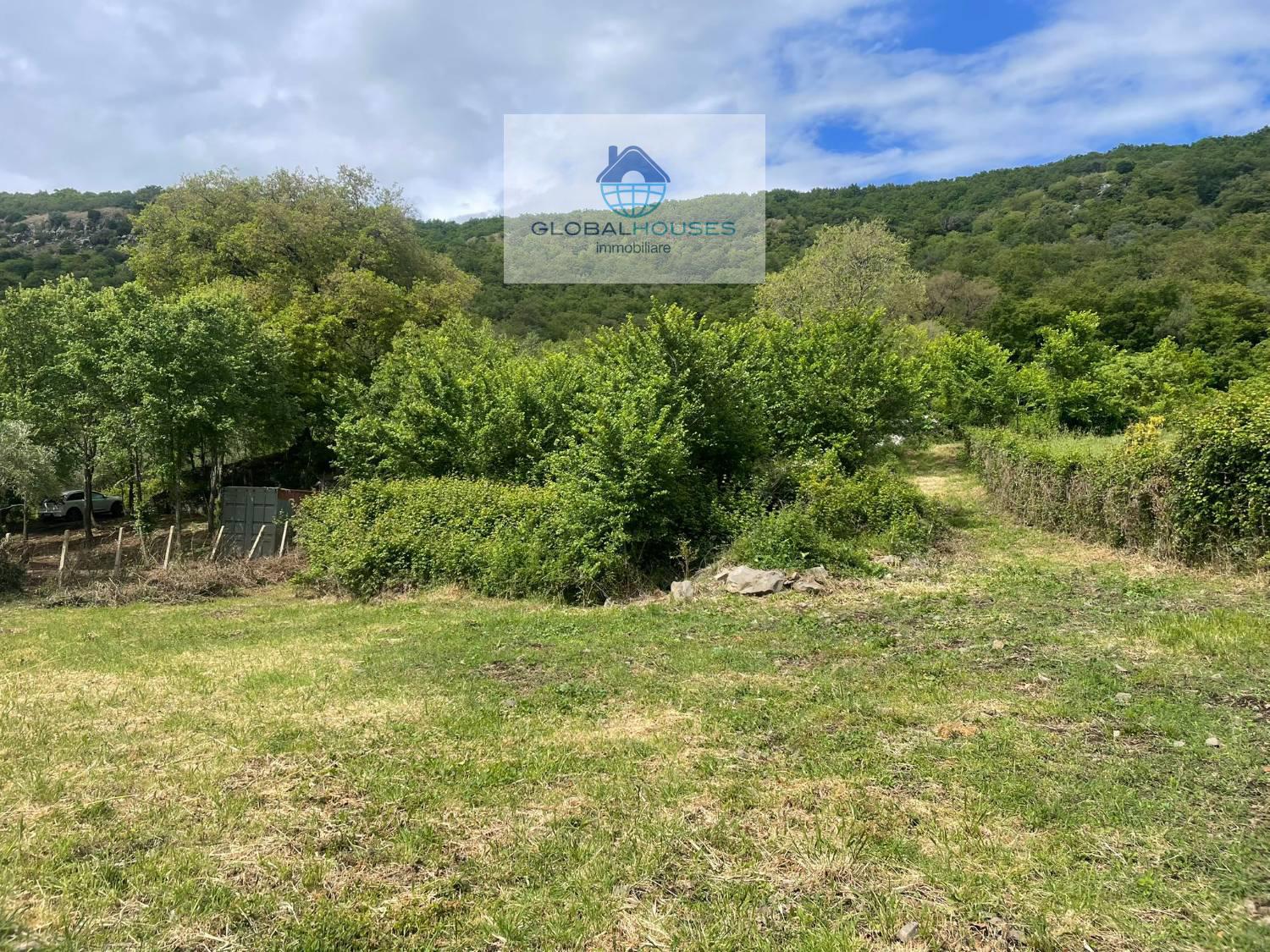 Terreno agricolo in vendita a Trevignano Romano (RM)