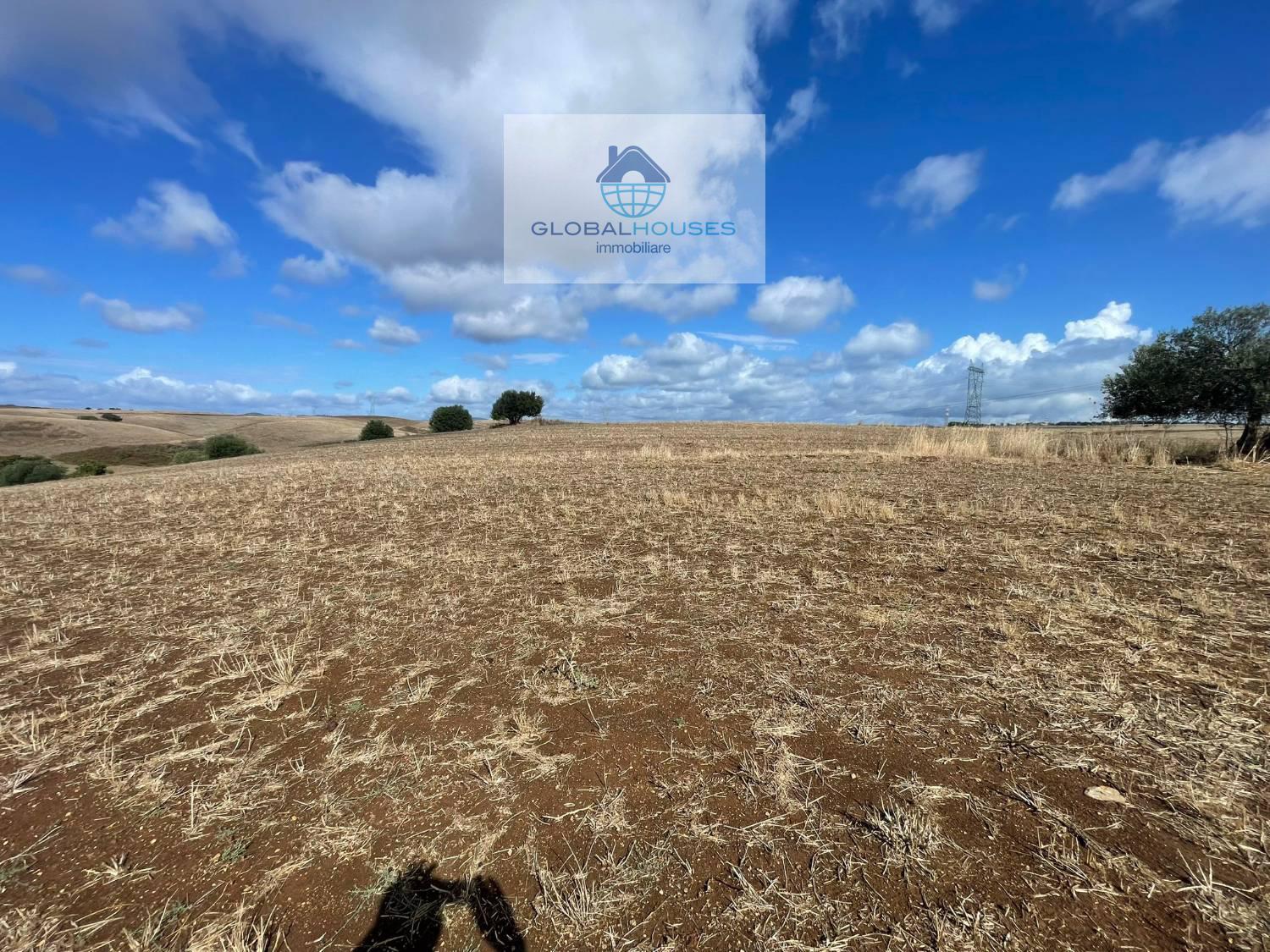 Terreno agricolo in vendita a Anguillara Sabazia (RM)