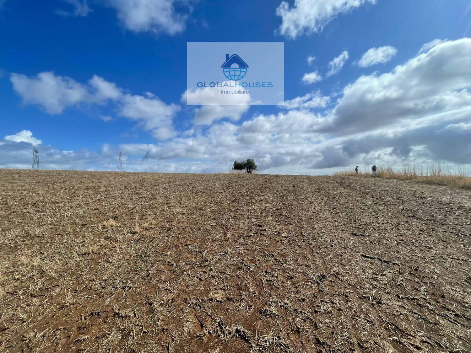 Terreno agricolo in vendita a Anguillara Sabazia (RM)