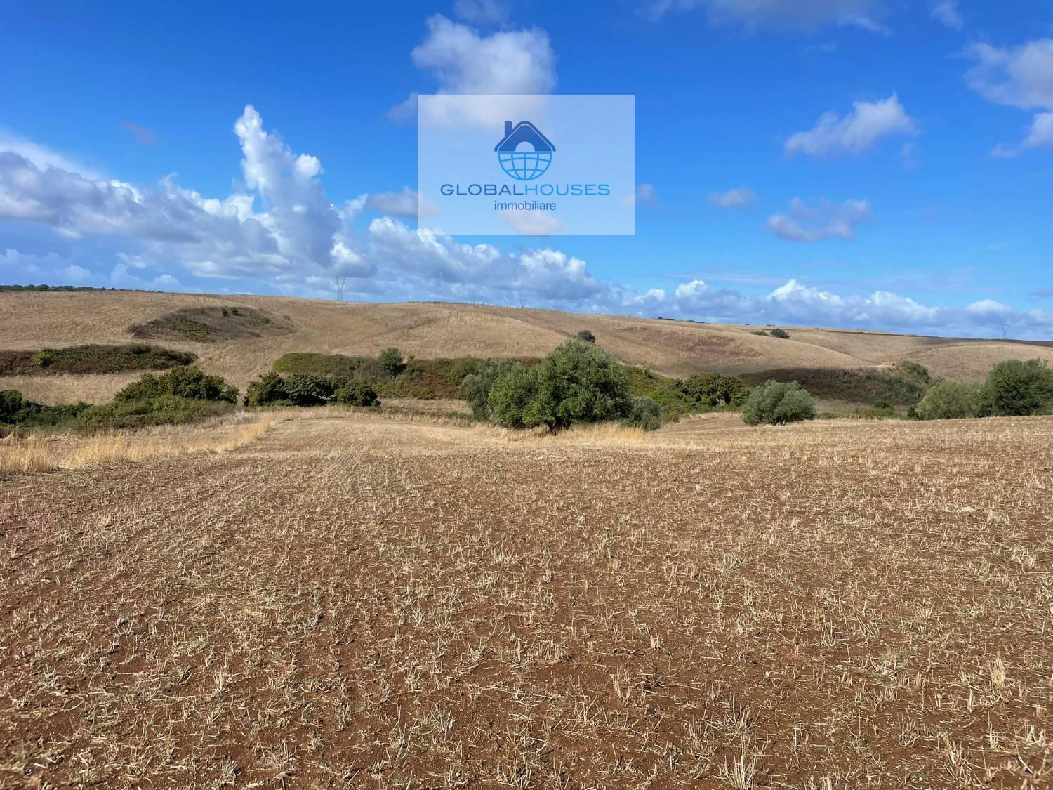 Terreno agricolo in vendita a Anguillara Sabazia (RM)