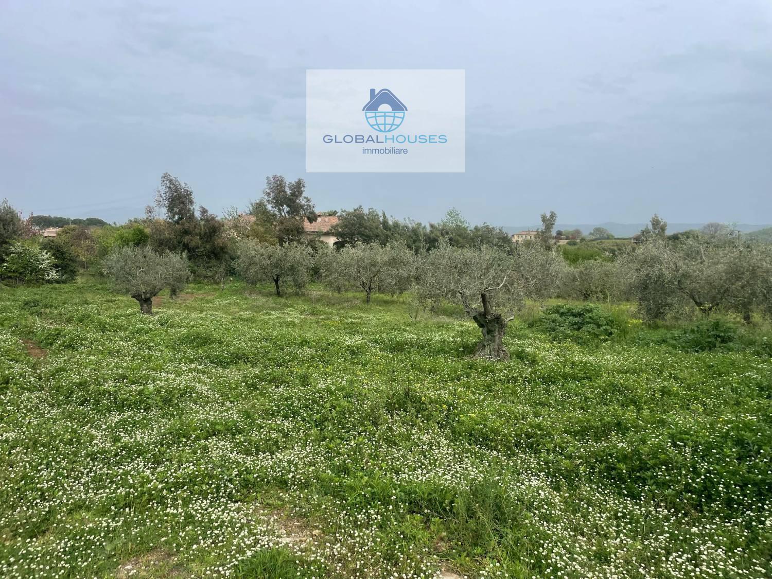 Rustico in vendita a Monterosi (VT)