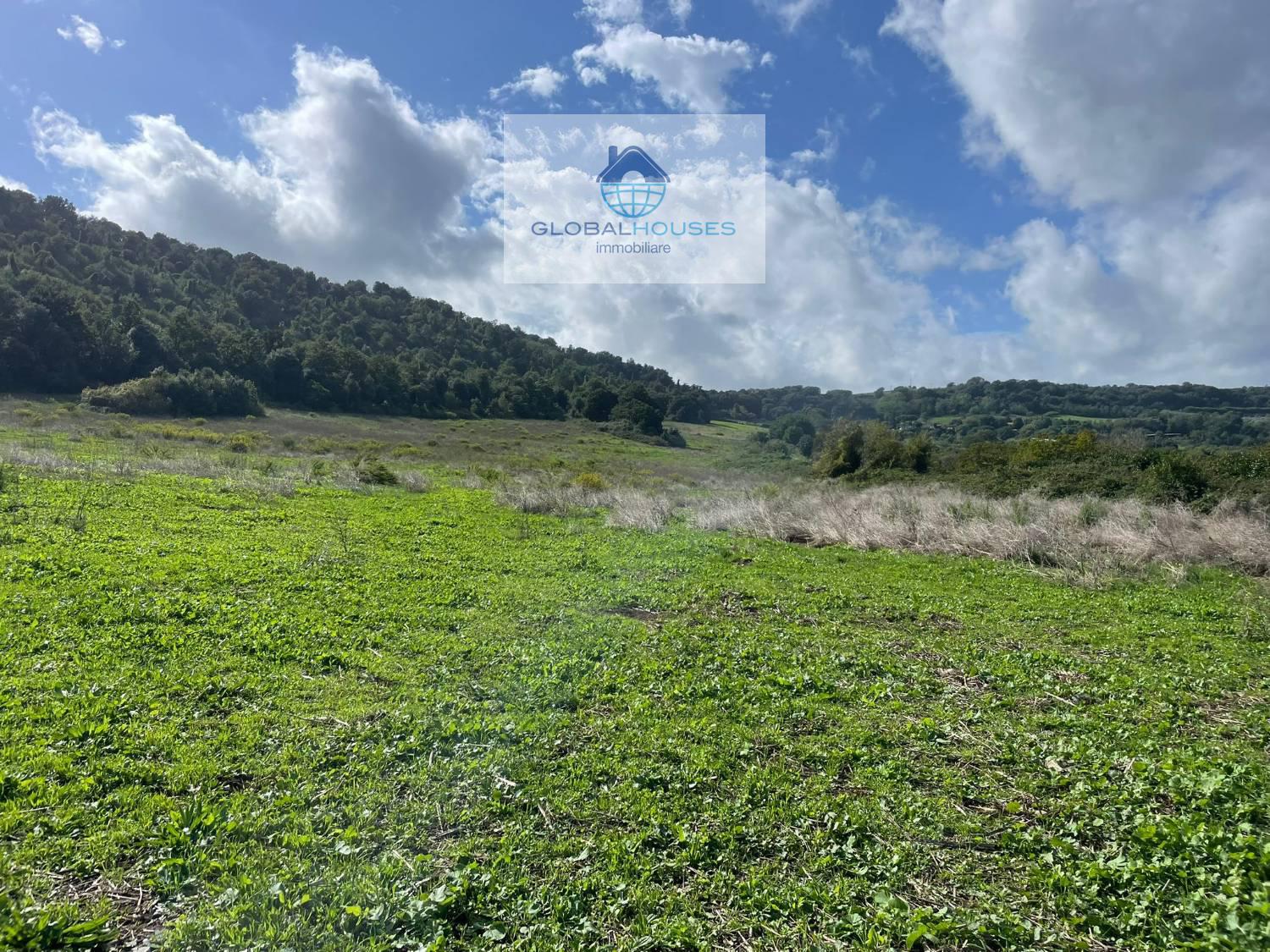 Terreno agricolo in vendita a Anguillara Sabazia (RM)