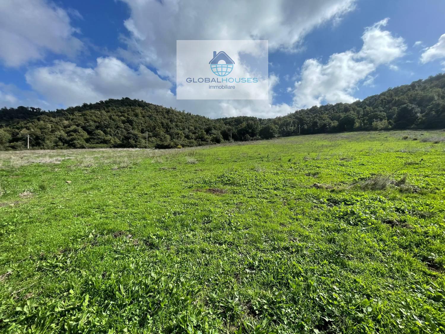 Terreno agricolo in vendita a Anguillara Sabazia (RM)