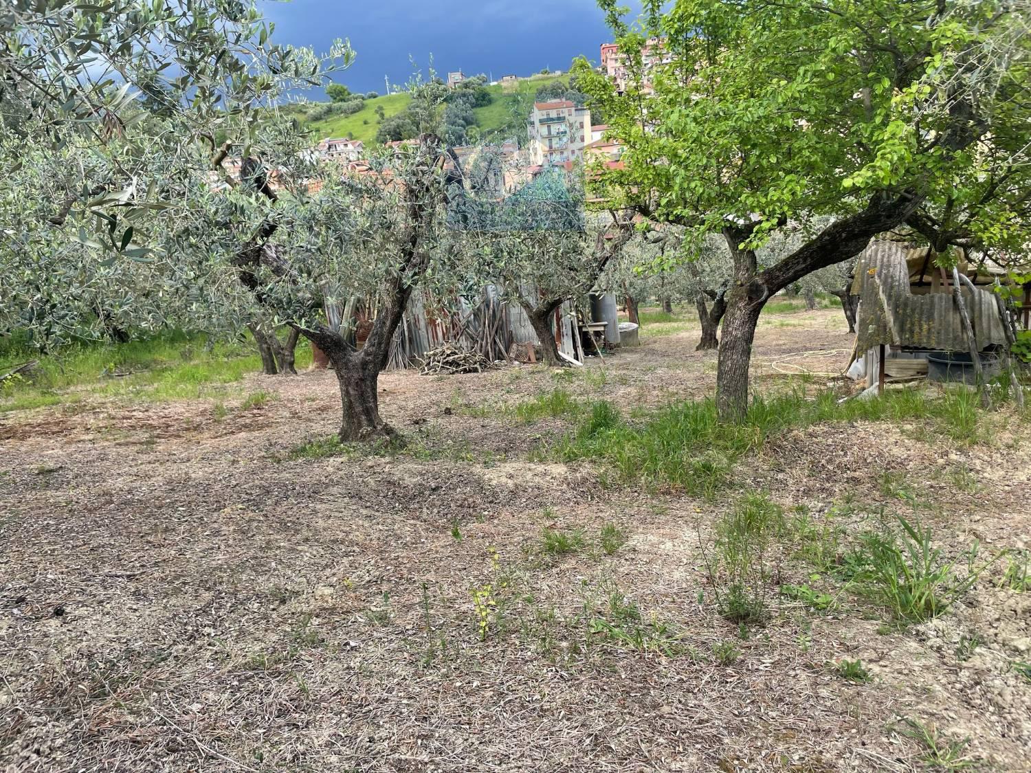 immagine annuncio 11 di 15