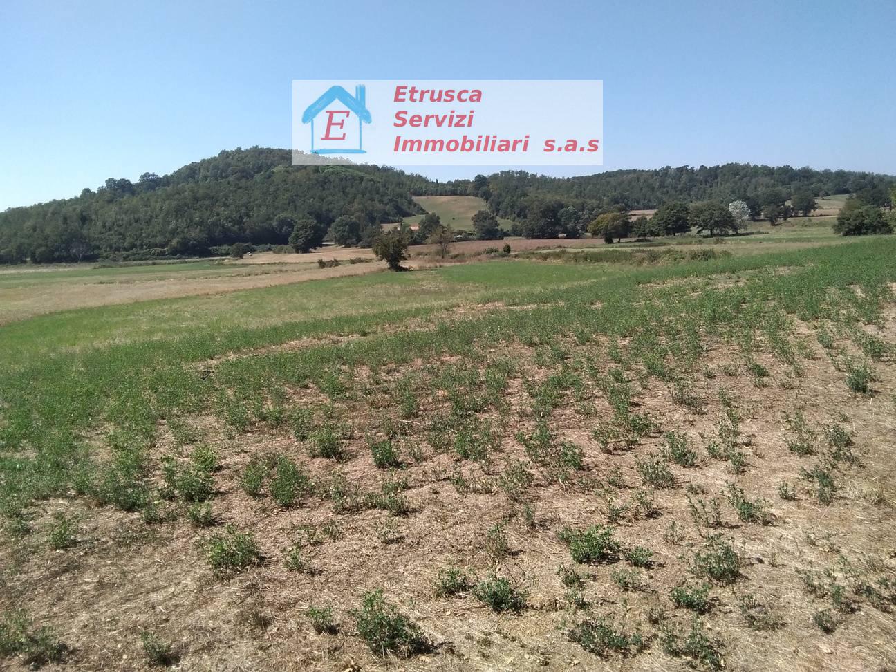 Terreno agricolo in vendita a Montieri (GR)
