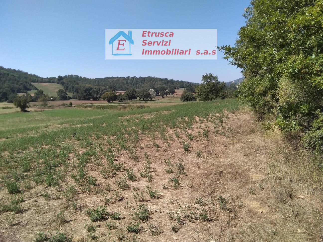 Terreno agricolo in vendita a Montieri (GR)