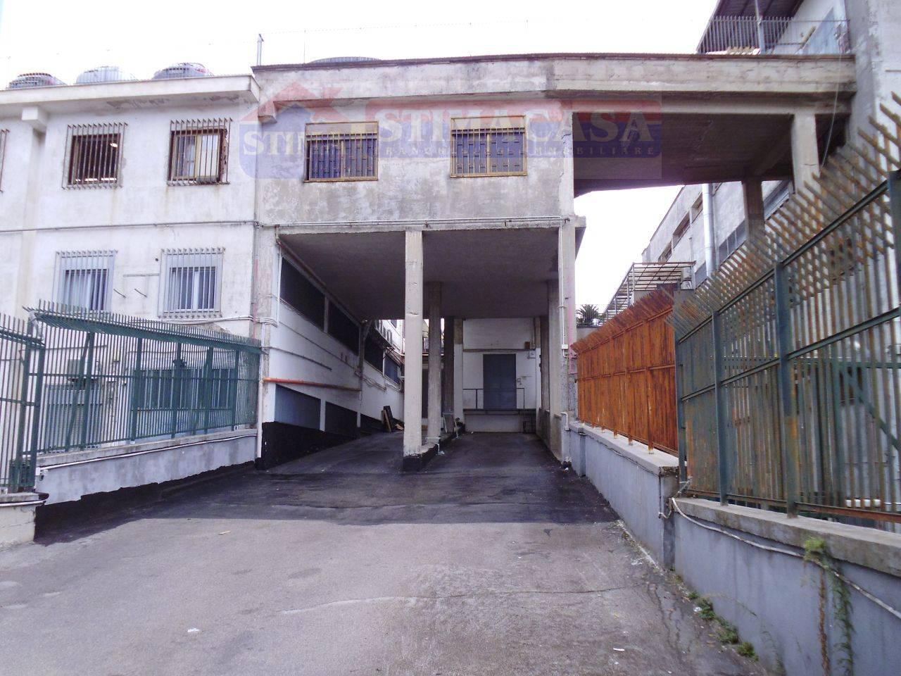 Capannone in Affitto