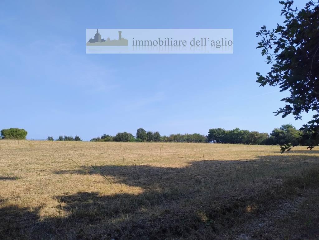 Terreno agricolo in vendita a Lonato Del Garda (BS)