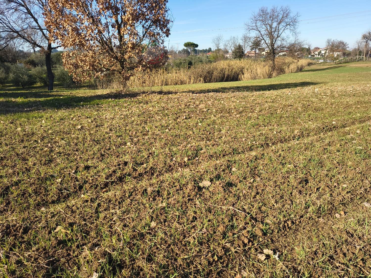Magazzino in vendita a Misano Adriatico (RN)
