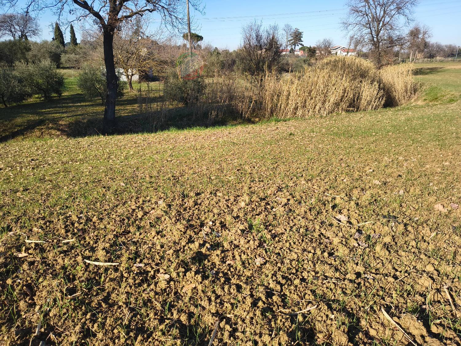Magazzino in vendita a Misano Adriatico (RN)