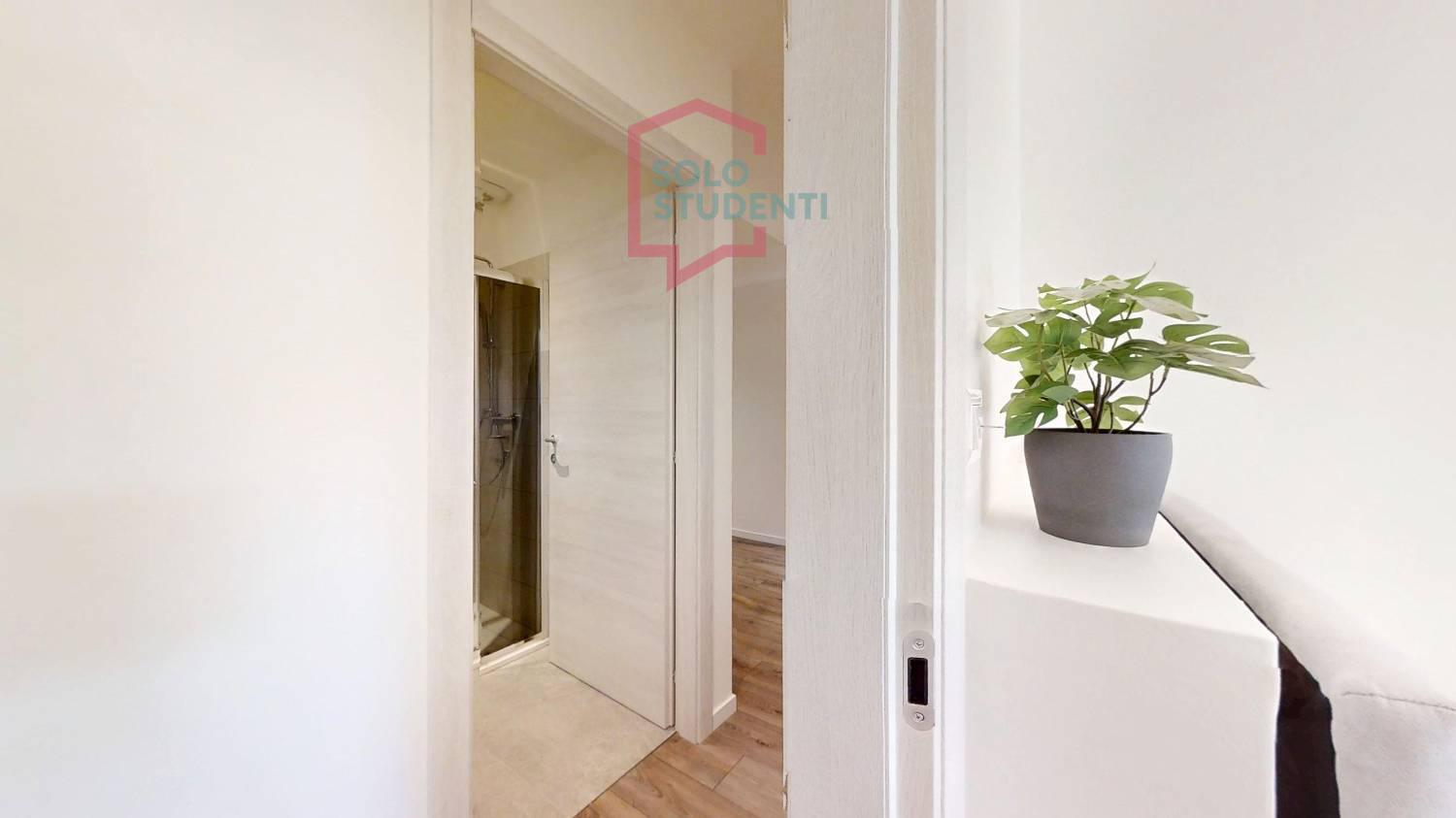 https://img.idia-cdn.it/images/wm/1759/50923/__IAAS1zU__Via-Pellizzo-14-Padova-02282025_110327.jpg