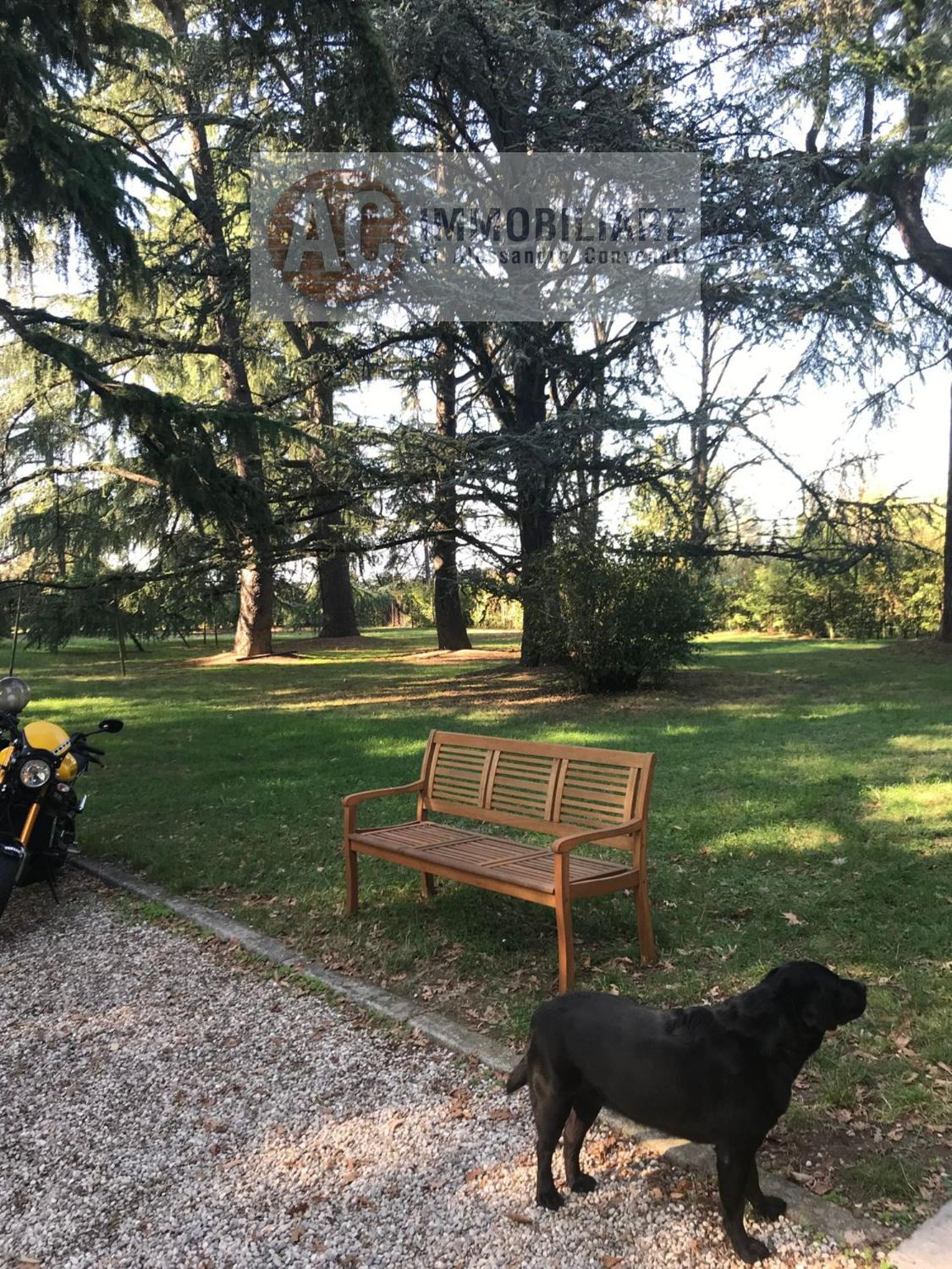 Foto 15 di 24 - Villa in vendita a Fiorano Modenese