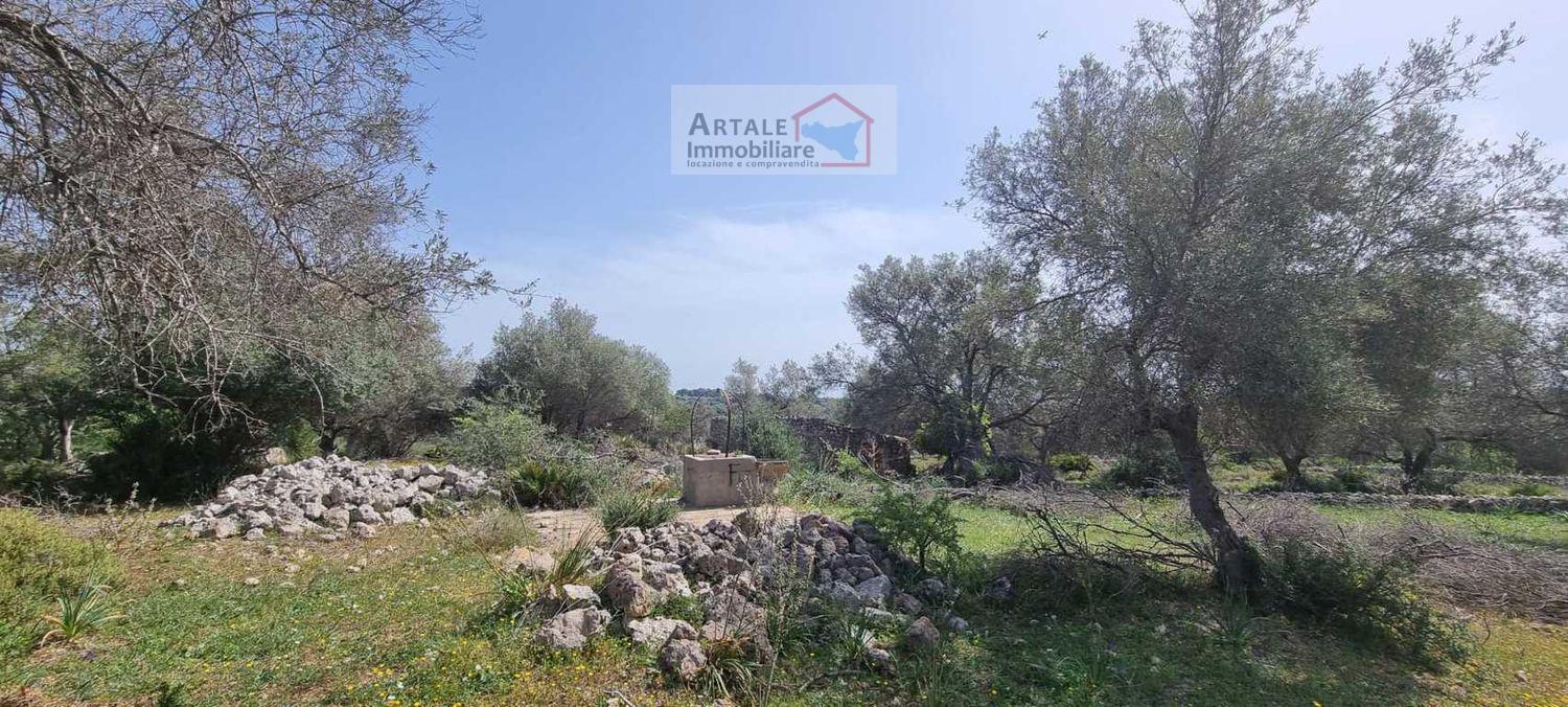 Terreno agricolo in vendita a Noto (SR)