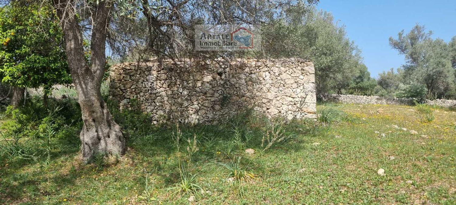 Terreno agricolo in vendita a Noto (SR)