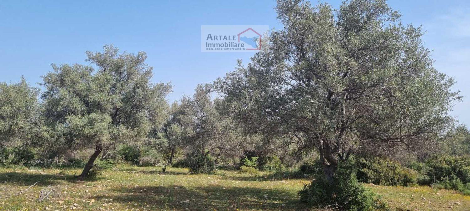 Terreno agricolo in vendita a Noto (SR)