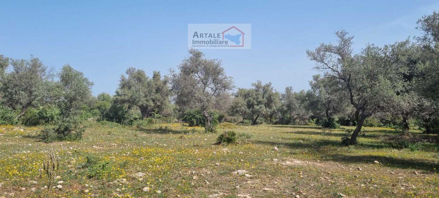 Terreno agricolo in vendita a Noto (SR)