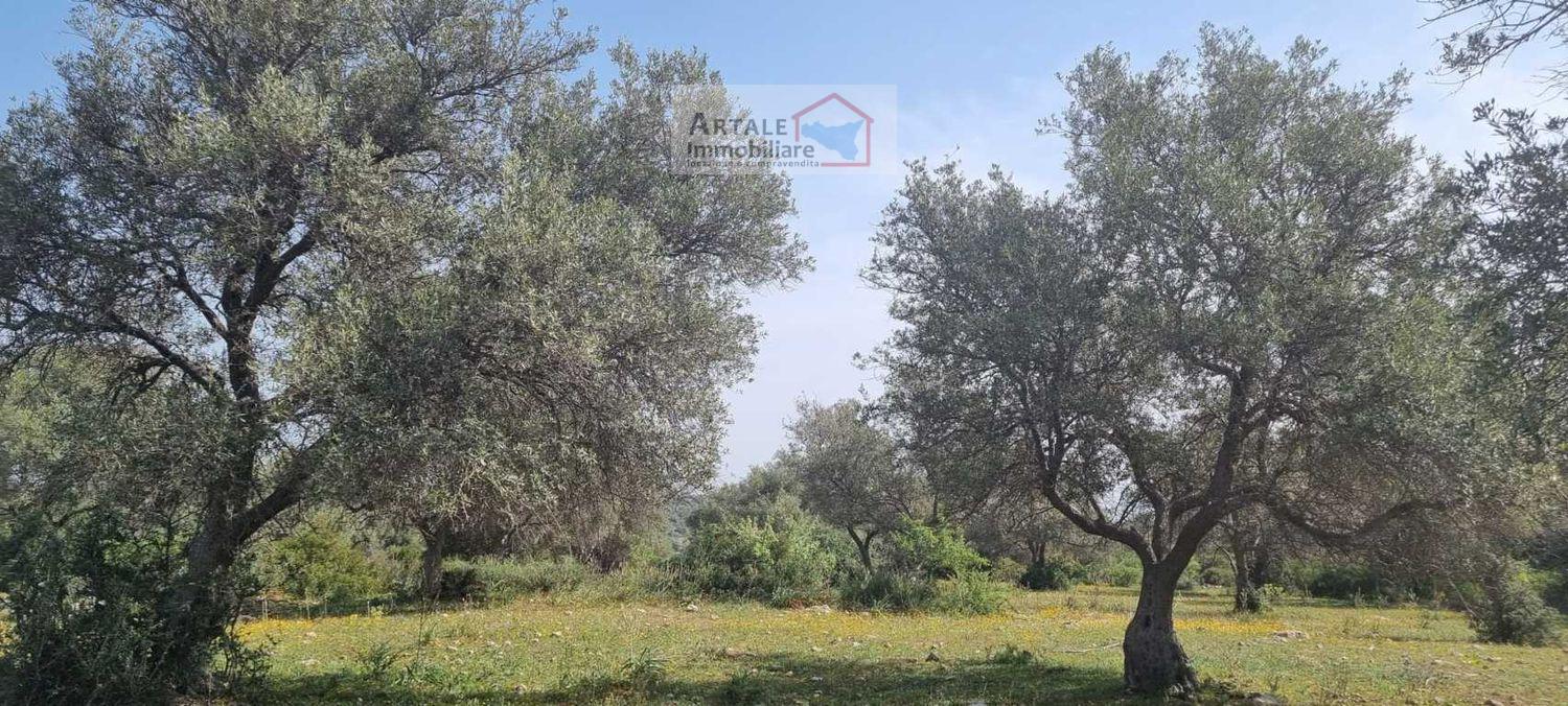 Terreno agricolo in vendita a Noto (SR)