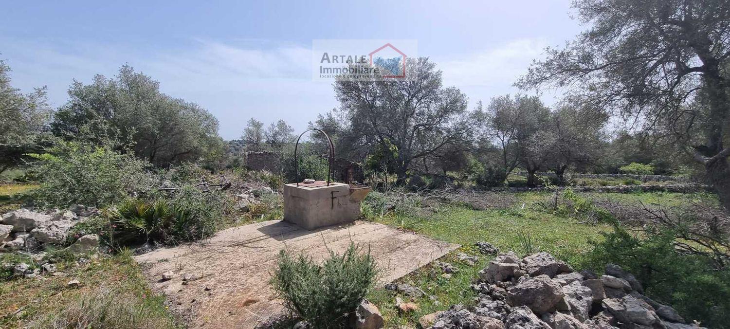 Terreno agricolo in vendita a Noto (SR)