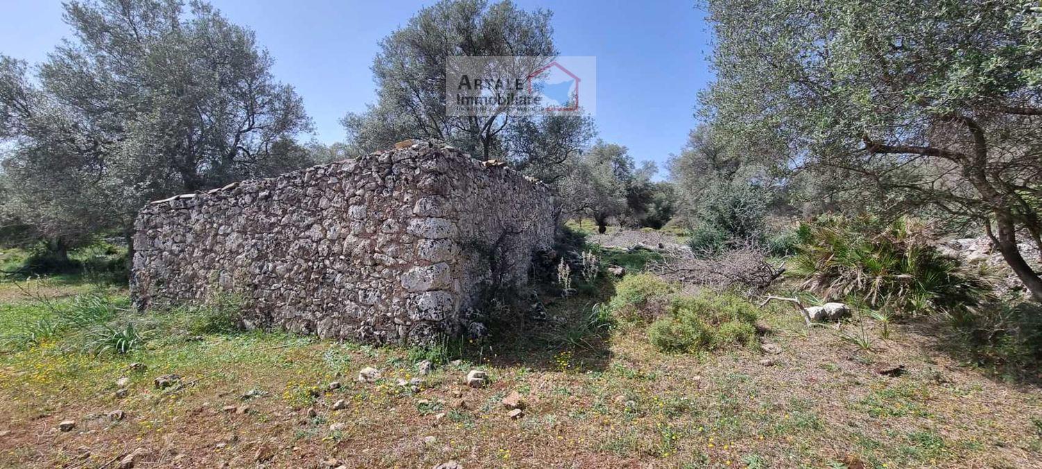 Terreno agricolo in vendita a Noto (SR)