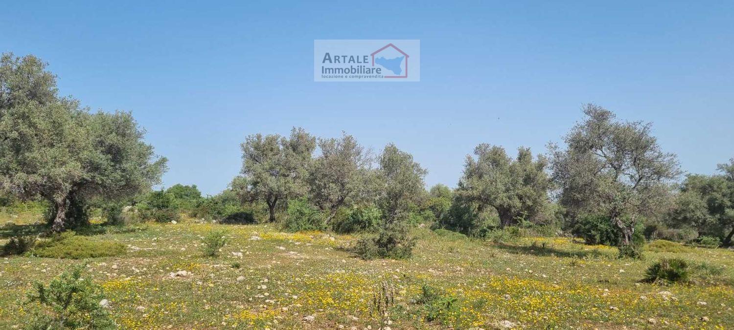 Terreno agricolo in vendita a Noto (SR)