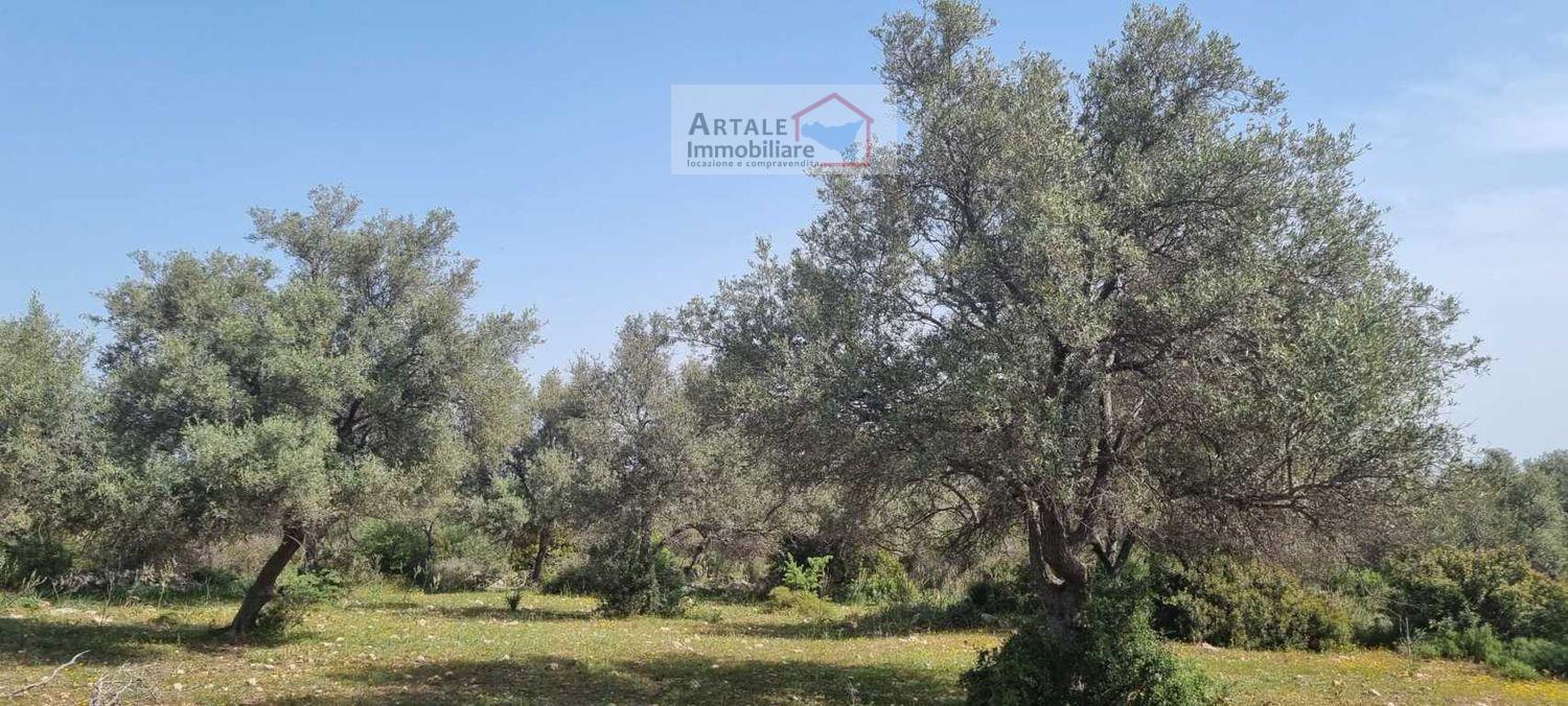 Terreno agricolo in vendita a Noto (SR)