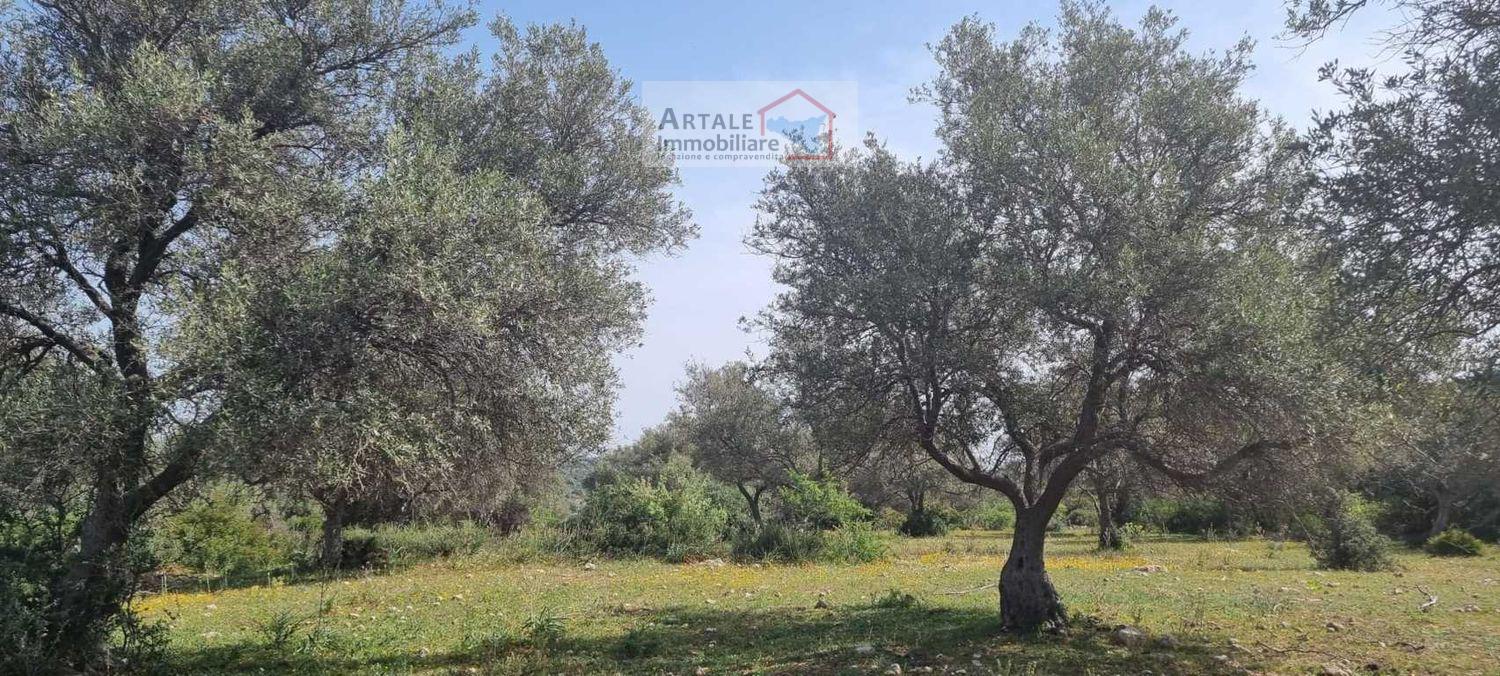 Terreno agricolo in vendita a Noto (SR)