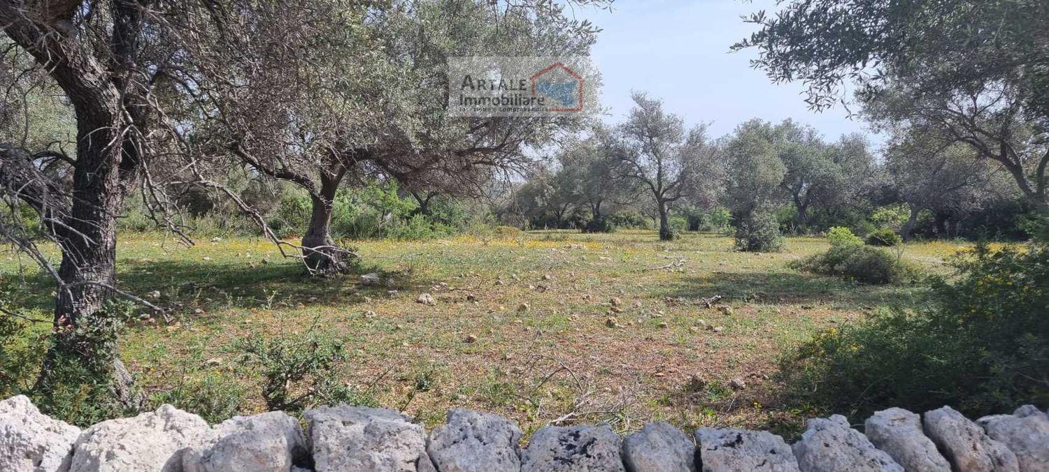 Terreno agricolo in vendita a Noto (SR)