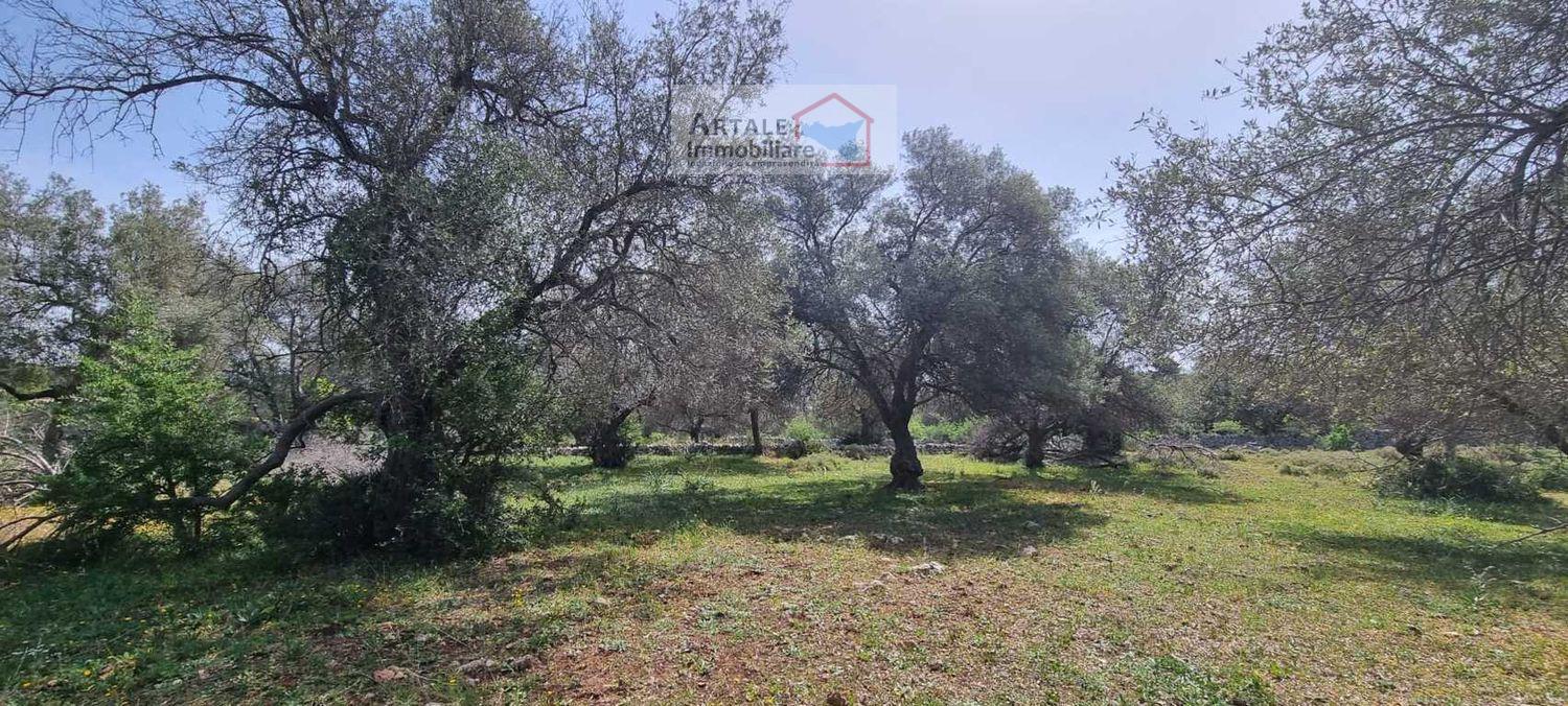 Terreno agricolo in vendita a Noto (SR)