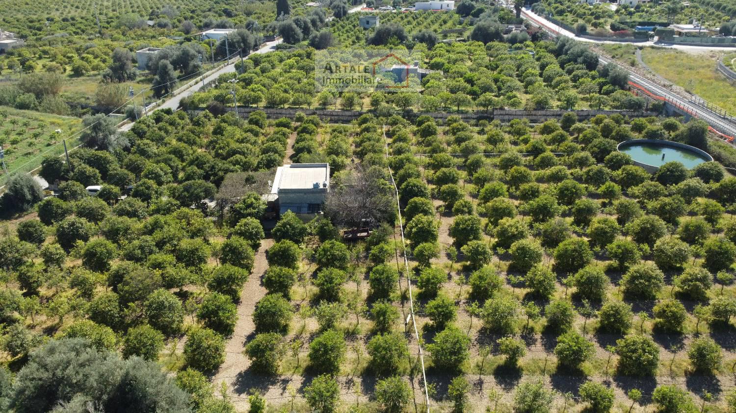 Terreno agricolo in vendita a Avola (SR)