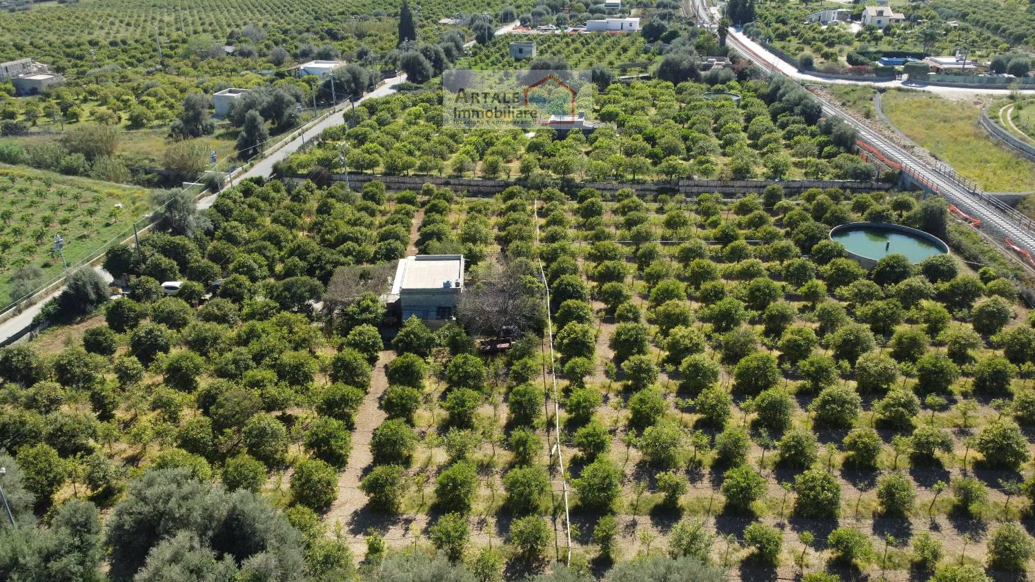 Terreno agricolo in vendita a Avola (SR)