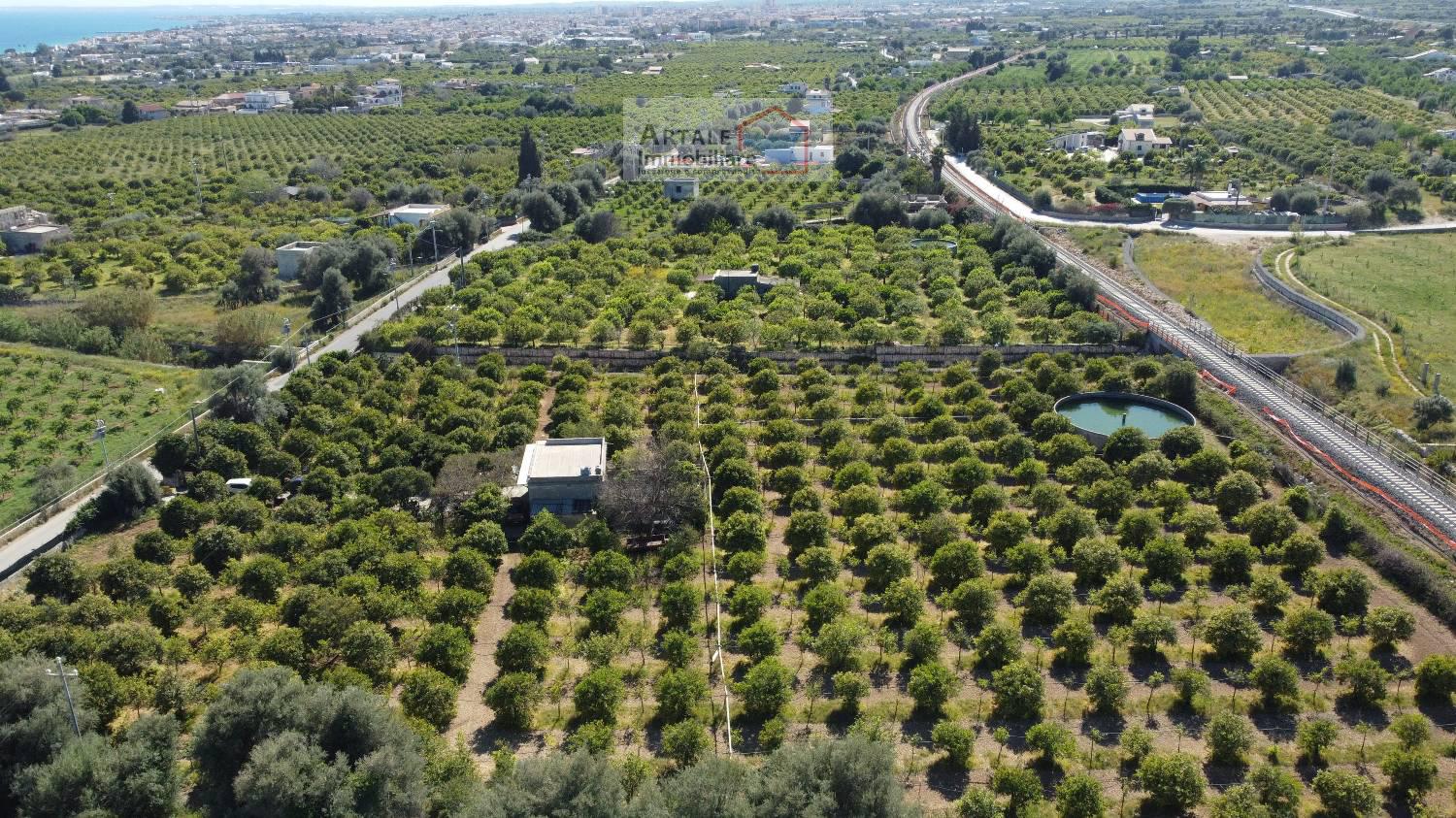 Terreno agricolo in vendita a Avola (SR)