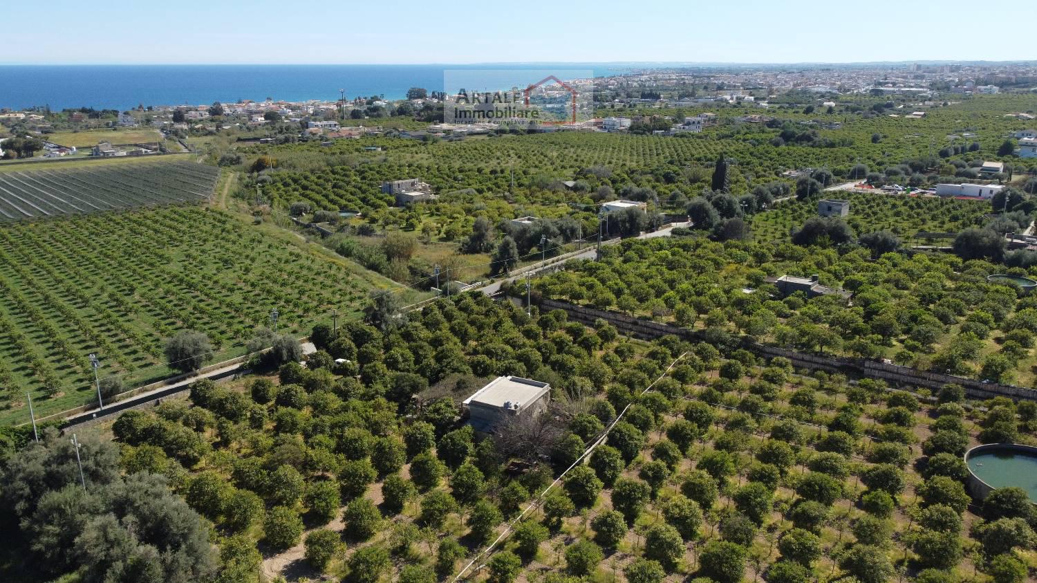 Terreno agricolo in vendita a Avola (SR)