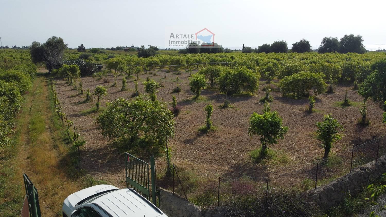 Terreno agricolo in vendita a Avola (SR)