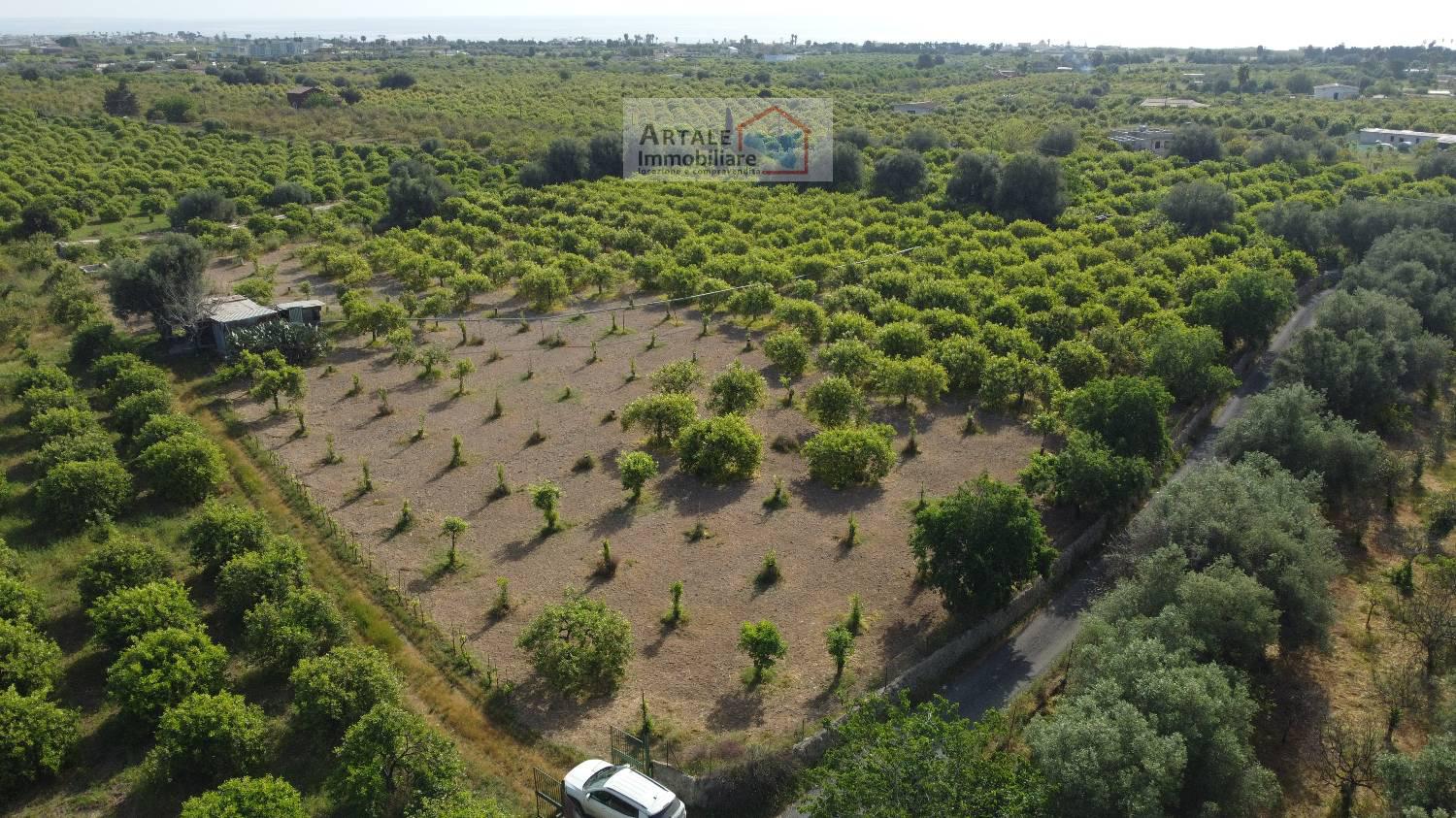 Terreno agricolo in vendita a Avola (SR)