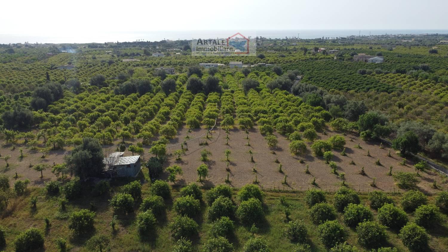 Terreno agricolo in vendita a Avola (SR)