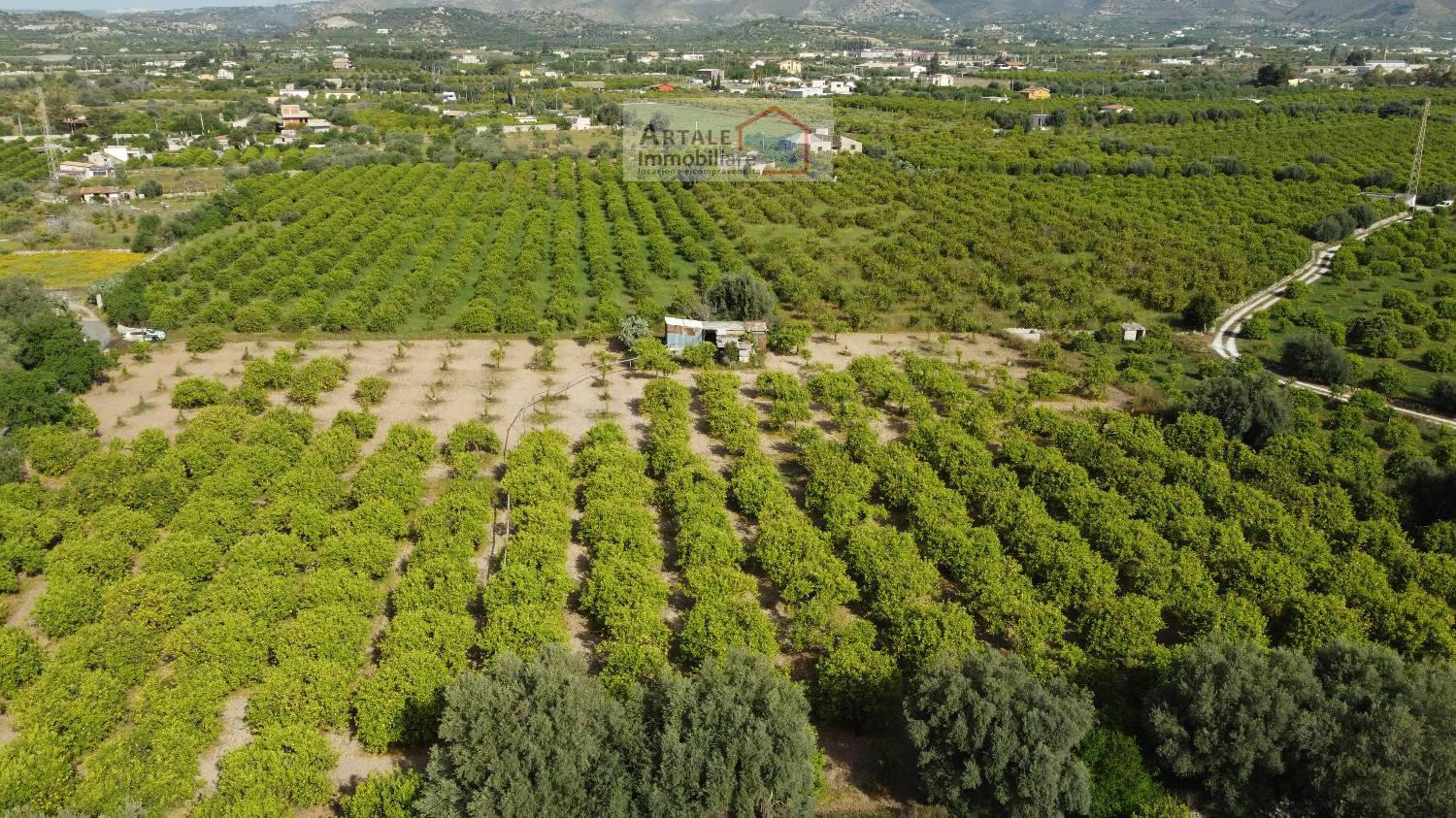 Terreno agricolo in vendita a Avola (SR)